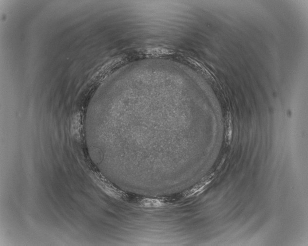 X0000081560519200702051152