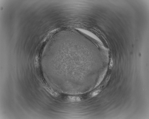 X0000081560520200702051152