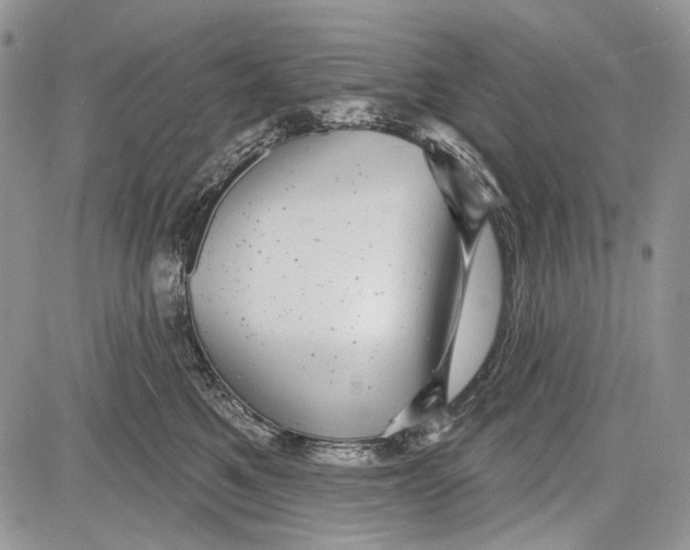 X0000081560521200702051152