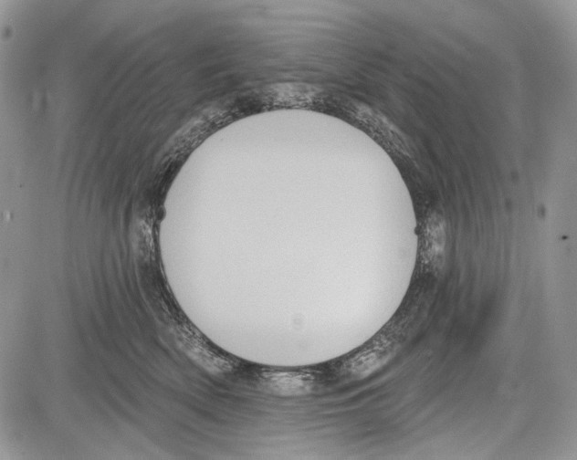 X0000081560522200702051152