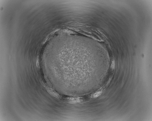 X0000081560524200702051152