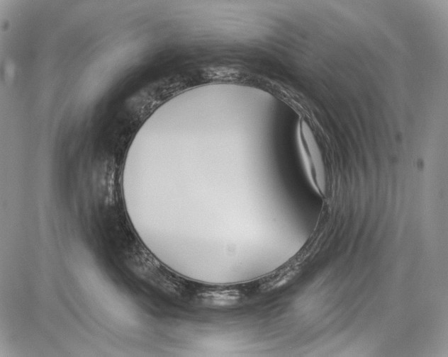 X0000081560525200702051152