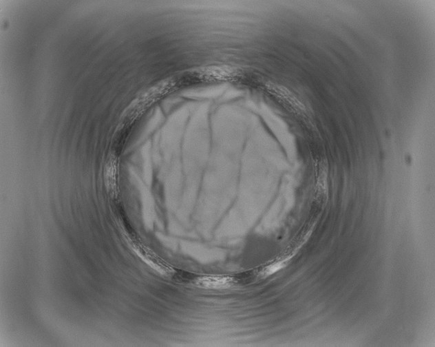 X0000081560526200702051152