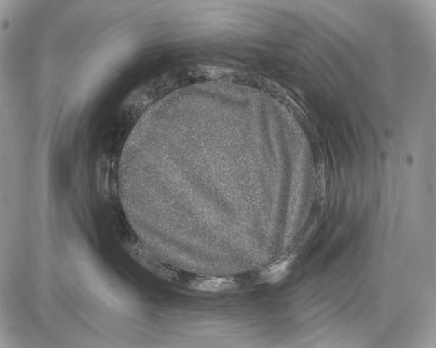 X0000081560527200702051152