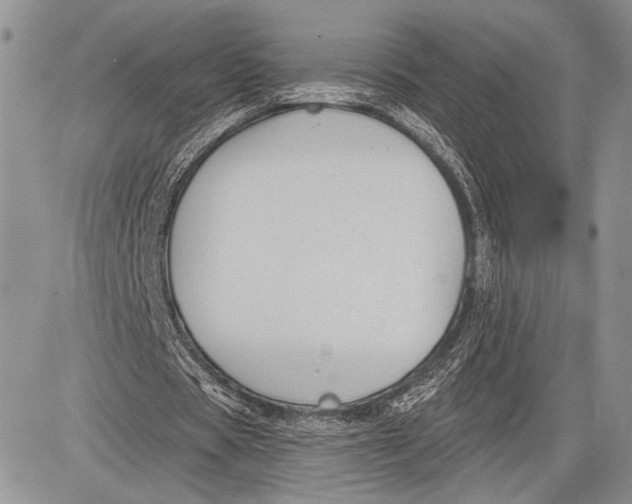 X0000081560529200702051151