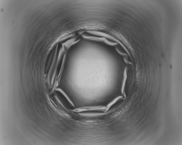 X0000081560530200702051151