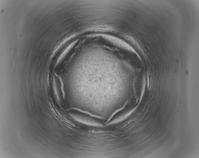 X0000081560531200702051151