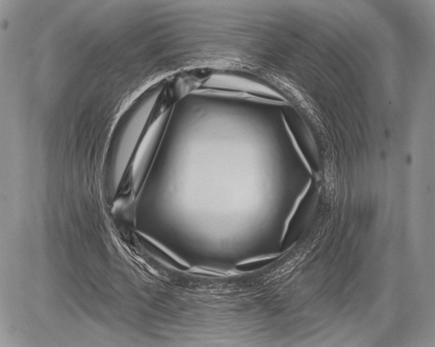 X0000081560532200702051151