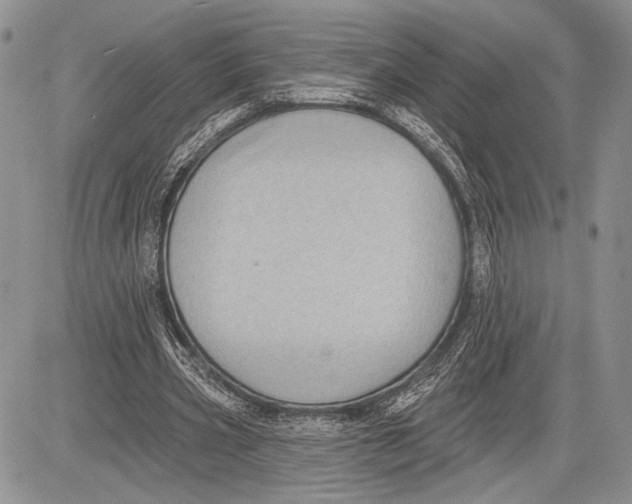 X0000081560533200702051151