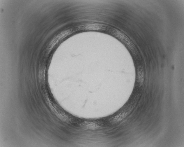 X0000081560534200702051151