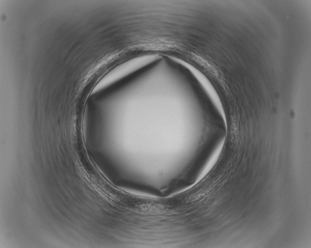 X0000081560535200702051151