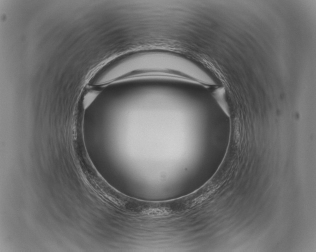 X0000081560536200702051151