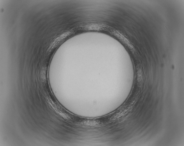 X0000081560537200702051151