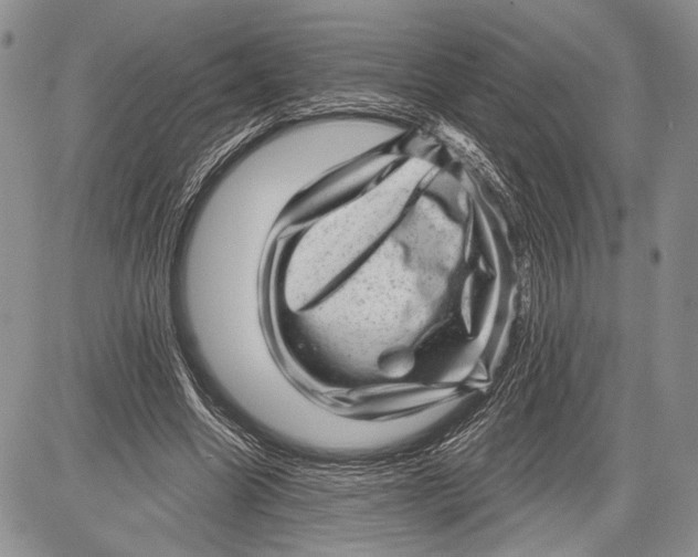 X0000081560538200702051151