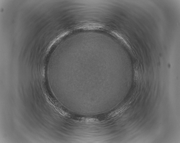 X0000081560539200702051151