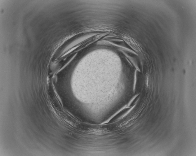 X0000081560540200702051152