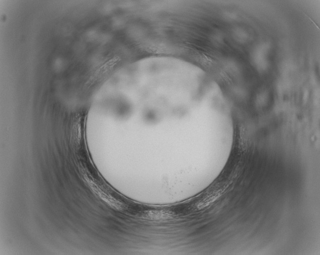 X0000081560541200702051152