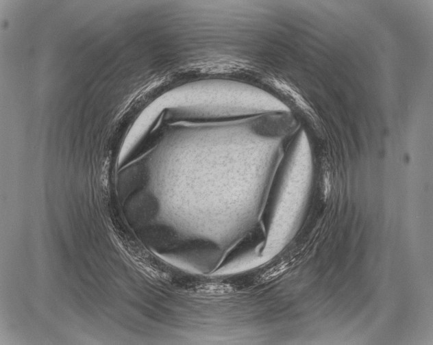 X0000081560543200702051152