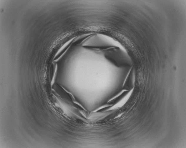 X0000081560544200702051152