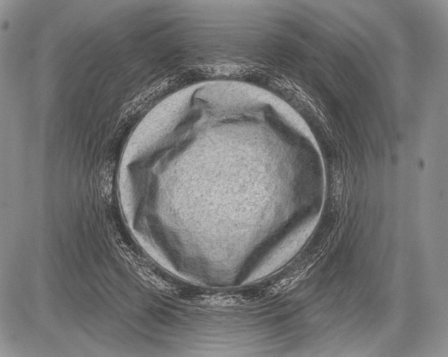 X0000081560545200702051152