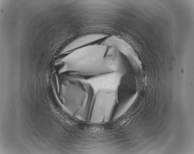 X0000081560546200702051152