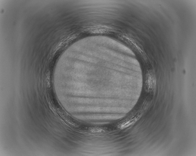 X0000081560547200702051152