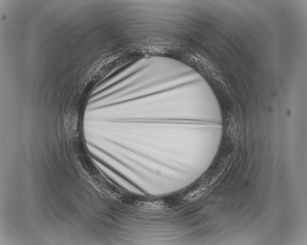 X0000081560548200702051152