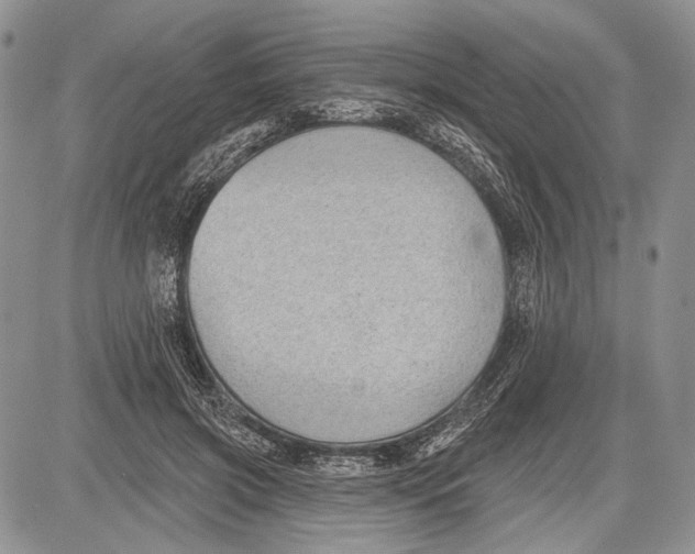 X0000081560549200702051152