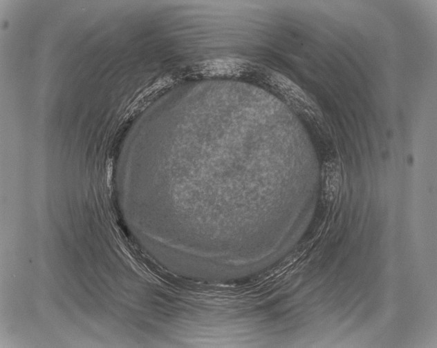 X0000081560550200702051152