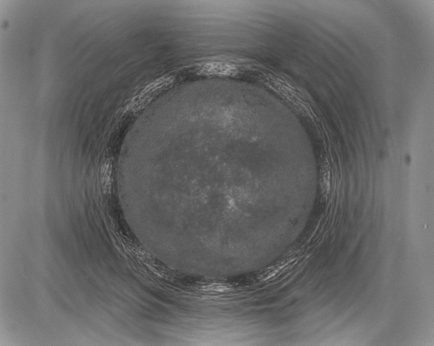 X0000081560551200702051152