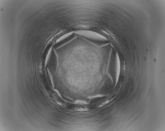 X0000081560552200702051152