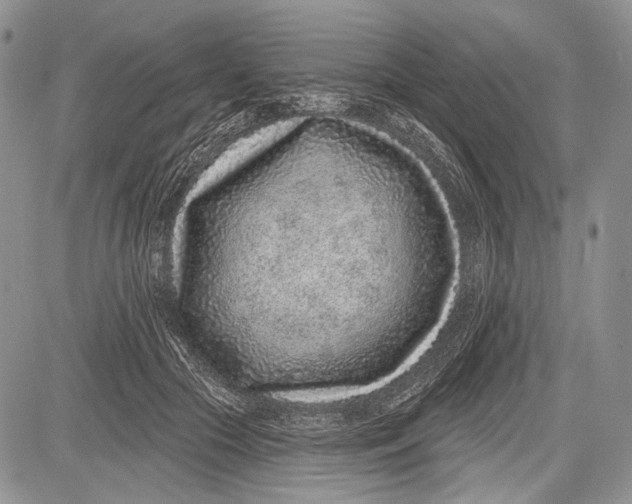 X0000081560553200702051152