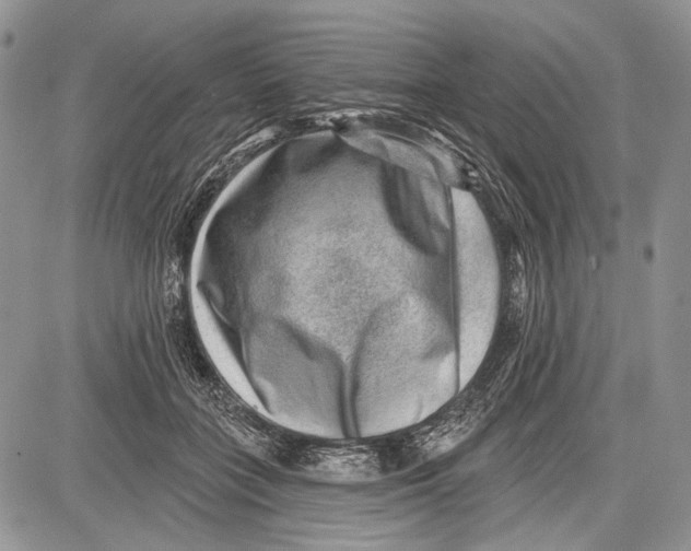 X0000081560555200702051152