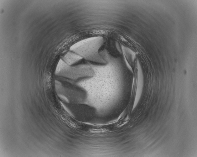 X0000081560556200702051152