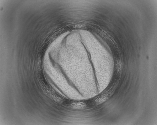 X0000081560557200702051152