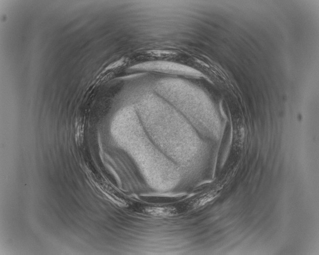 X0000081560558200702051152