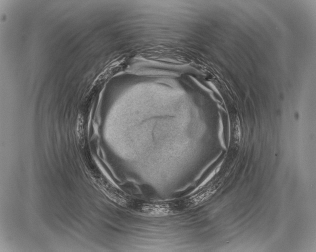 X0000081560559200702051152