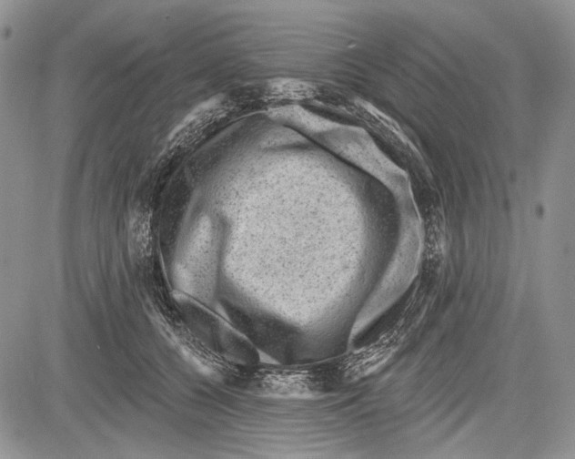 X0000081560560200702051152