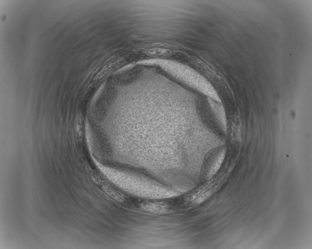 X0000081560561200702051152