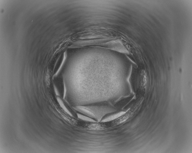 X0000081560562200702051152