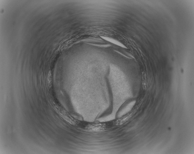 X0000081560563200702051152