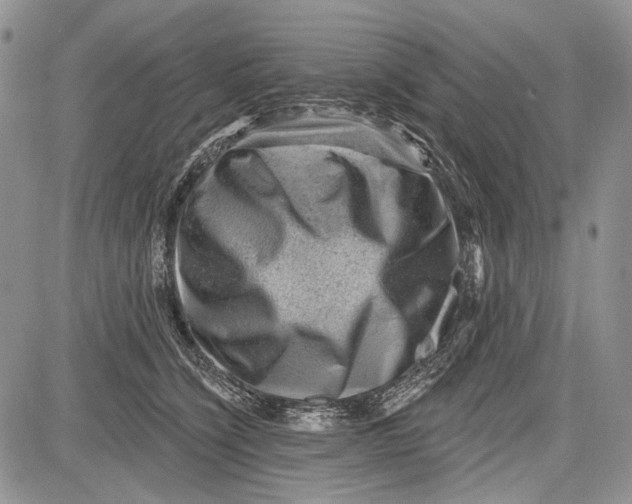 X0000081560564200702051152