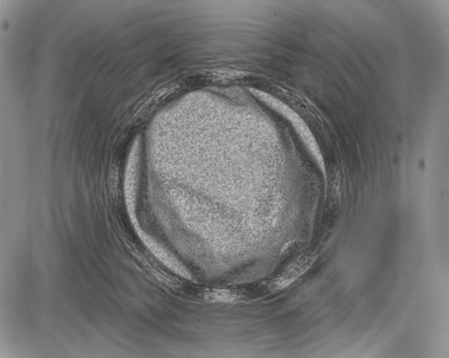 X0000081560565200702051152