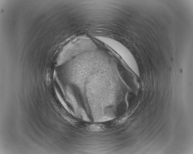 X0000081560566200702051152