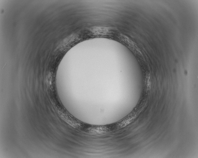 X0000081560567200702051152