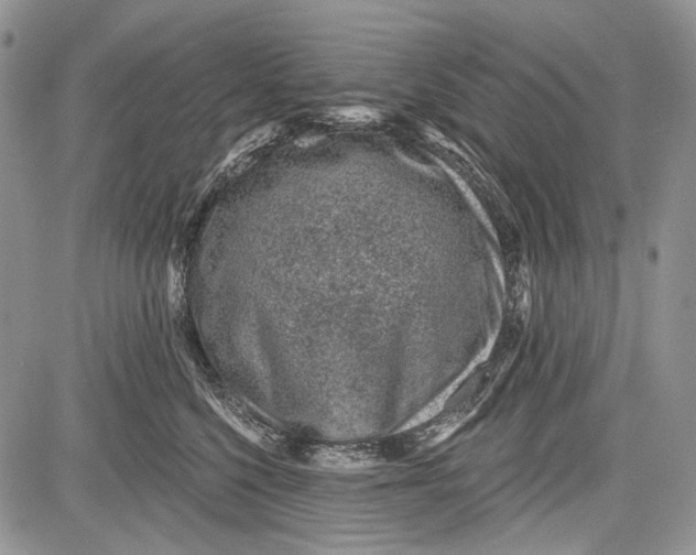 X0000081560568200702051152