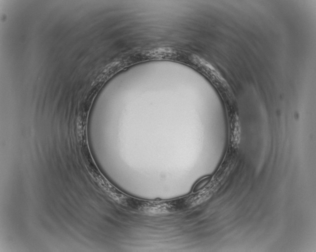 X0000081560569200702051152