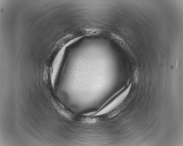 X0000081560570200702051152