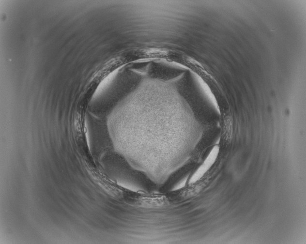 X0000081560571200702051152