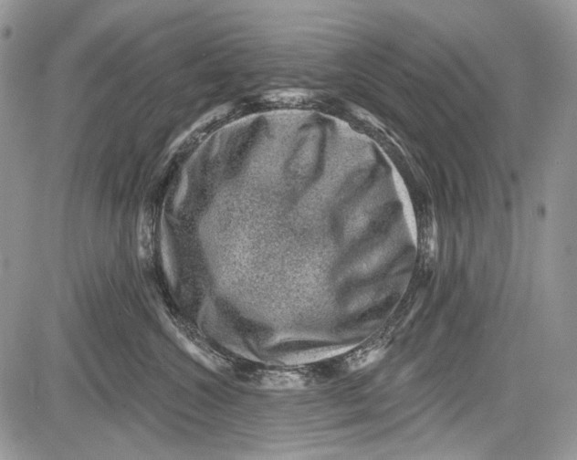 X0000081560572200702051152